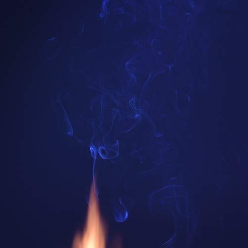 Photo #5621616
