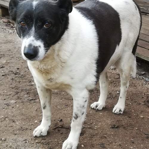 Photo #5621688