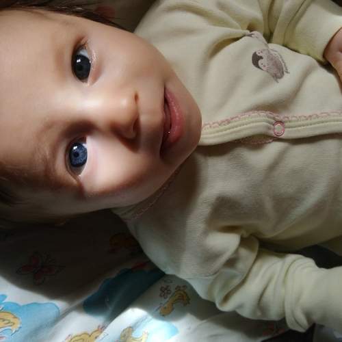 Photo #5622625