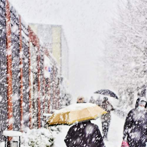 Photo #5623089