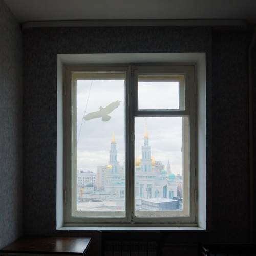 Photo #5623127