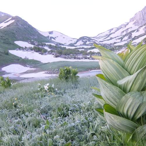 Photo #5623456