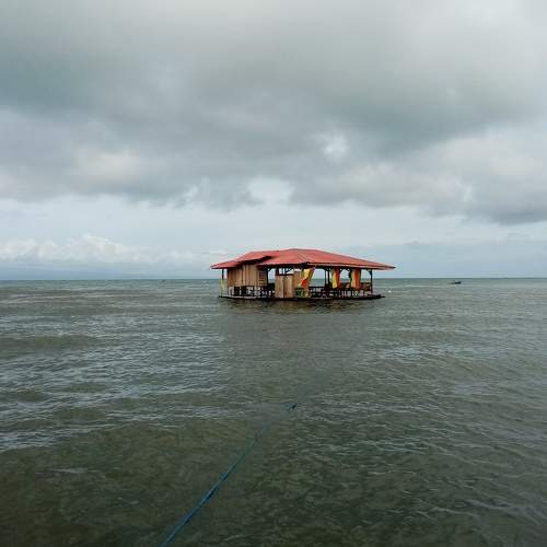 Photo #5623466