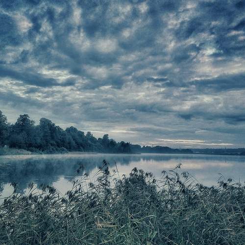 Photo #5623573