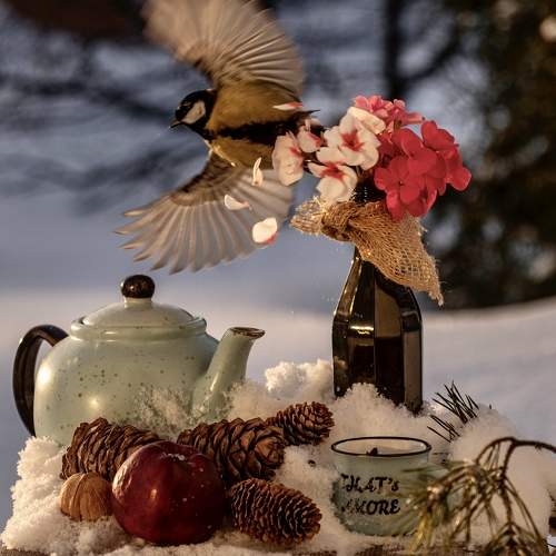 Photo #5623750