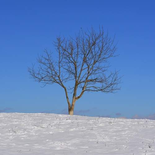 Photo #5623847