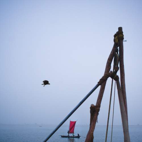 Photo #5624532