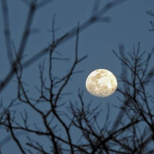 Photo #5624624