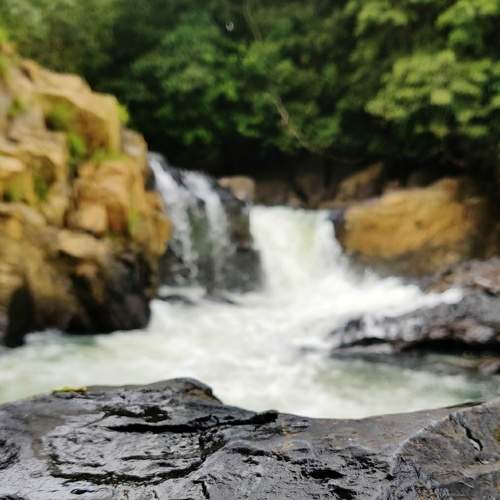 Photo #5624735