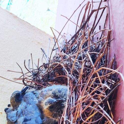 Photo #5624747