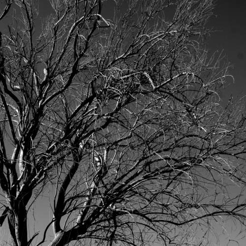 Photo #5624788