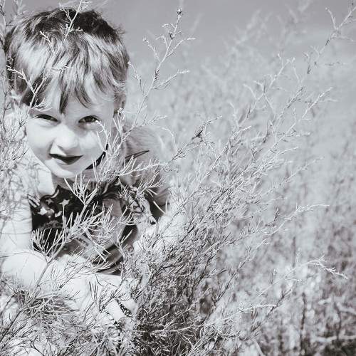 Photo #5624851