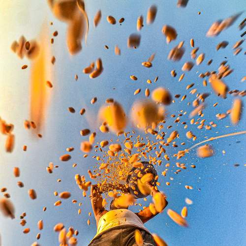 Photo #5624894