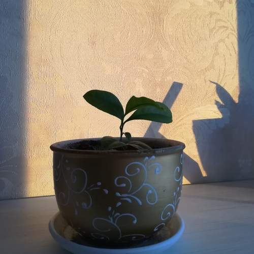 Photo #5625082