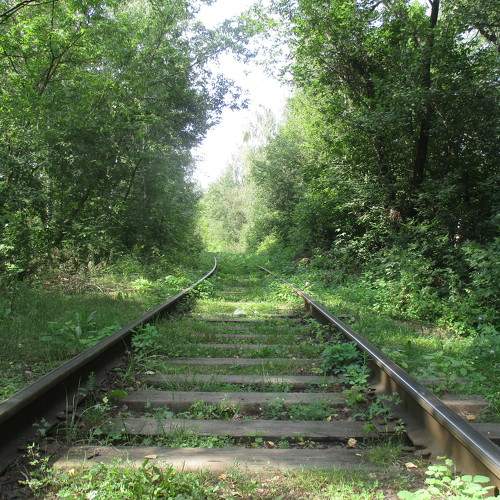 Photo #5625194
