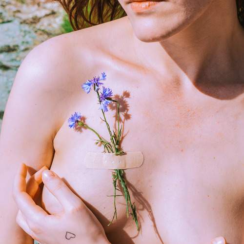Photo #5625201