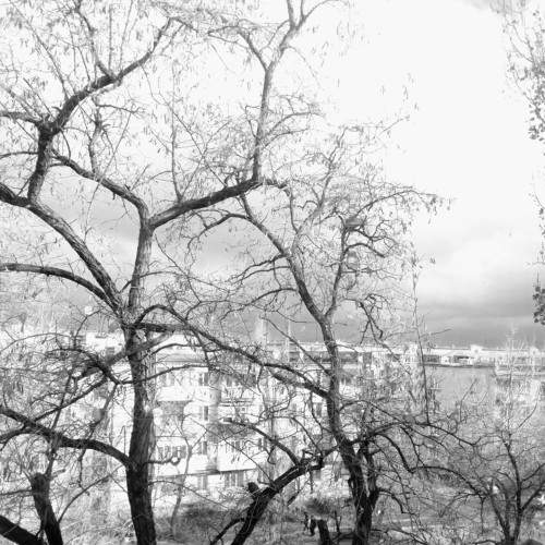 Photo #5625287