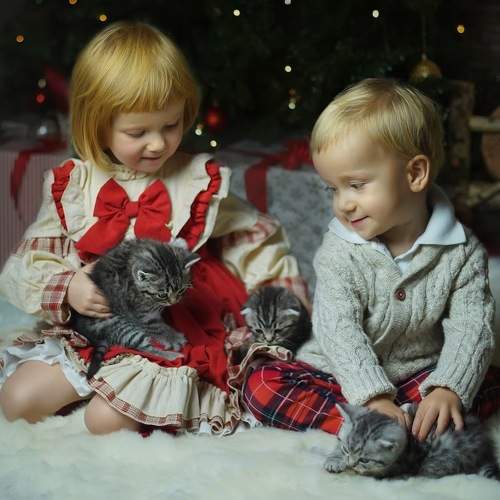 Photo #5625294