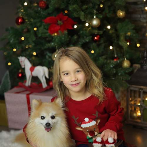 Photo #5625411