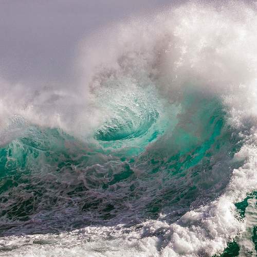 Photo #5625567