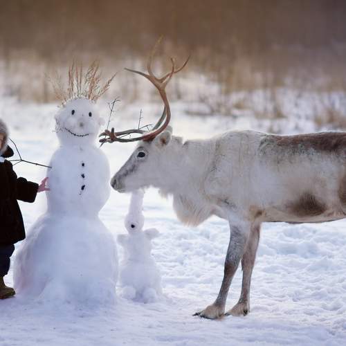 Photo #5625864