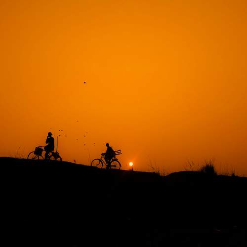 Photo #5625887