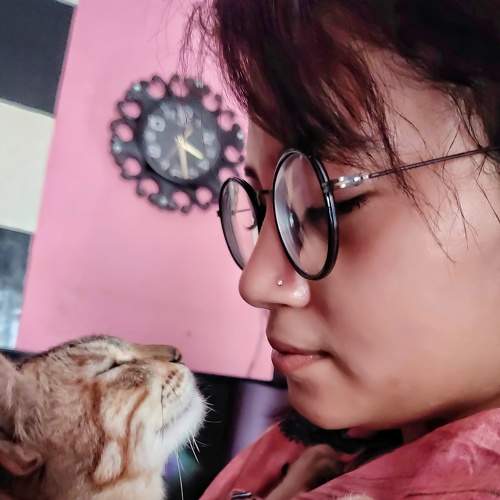 Photo #5626442