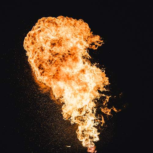 Photo #5626570