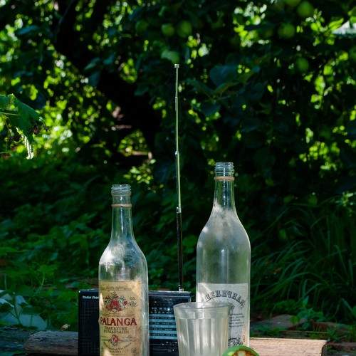 Photo #5626582