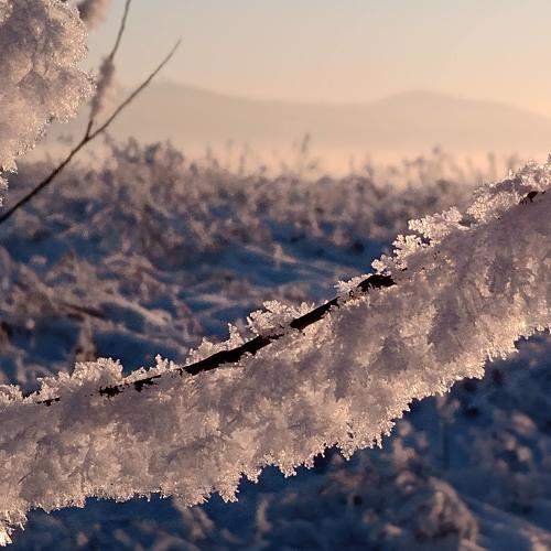 Photo #5626738