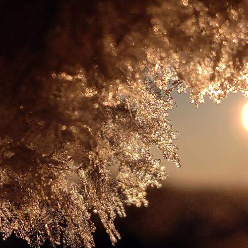 Photo #5626743