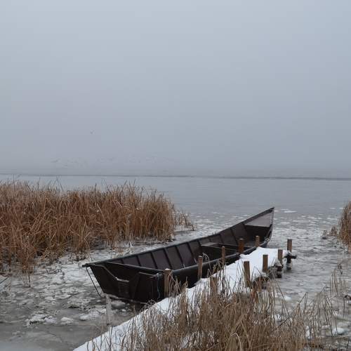 Photo #5626794