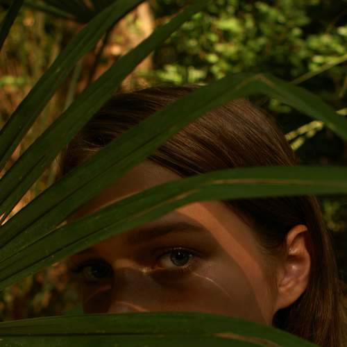 Photo #5626918