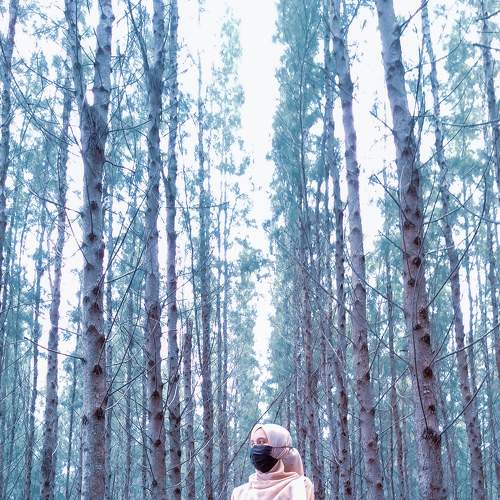 Photo #5627090