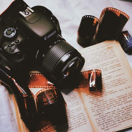 Photo #5627472
