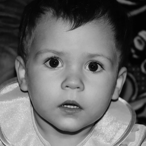 Photo #5627659