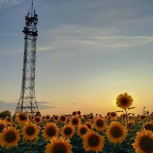 Photo #5627842