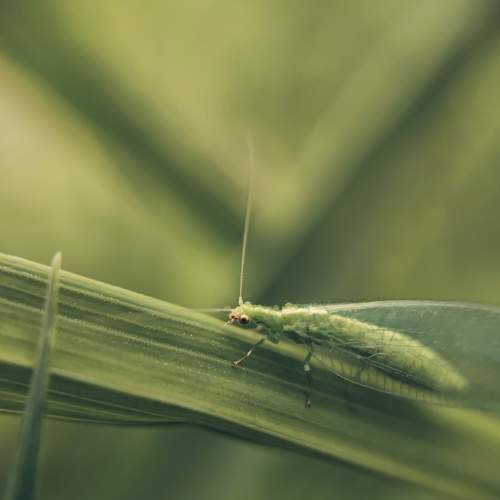 Photo #5627990