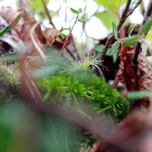Photo #5628334