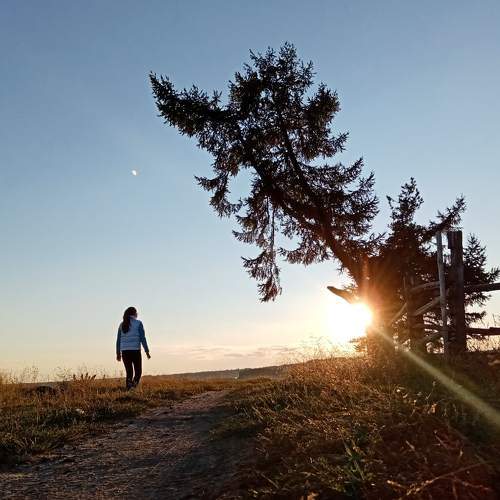 Photo #5628341