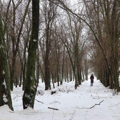 Девушка в лесу