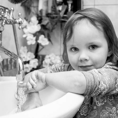 Photo #5629305
