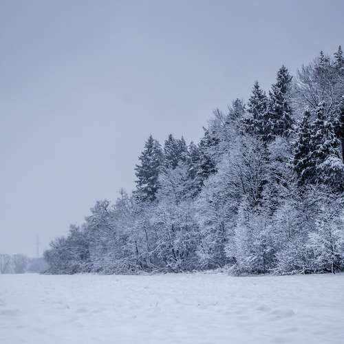 Photo #5629425