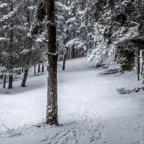 Photo #5629428