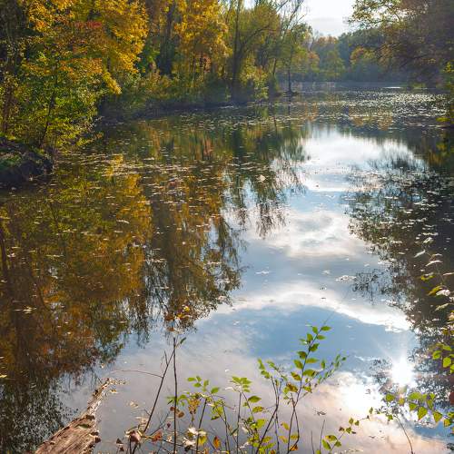 Photo #5629606