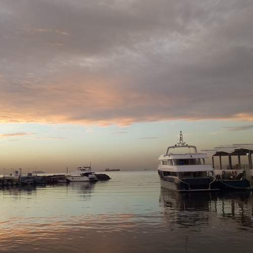 Photo #5629648