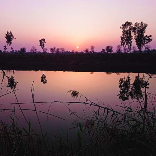 Photo #5629769