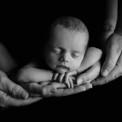 Фотография #5629774