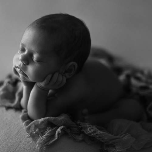 Фотография #5629791