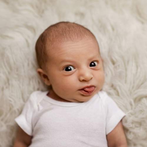 Фотография #5629869